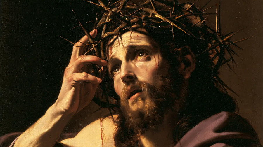 Jesus Crowned with Thorns — The Hand That Touches the Brambles