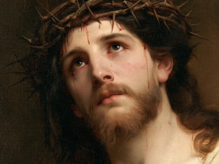 Jesus Crowned with Thorns — The Thorns against a Clear Blue Field