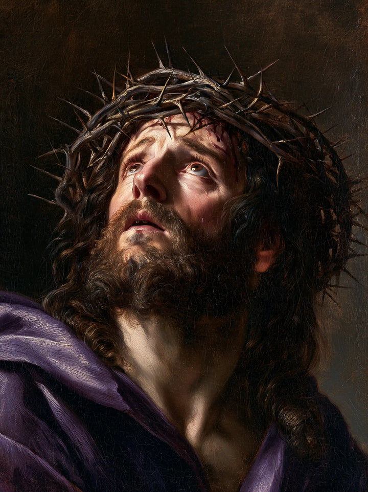 Jesus Crowned with Thorns — Sorrow in Satin Reflections