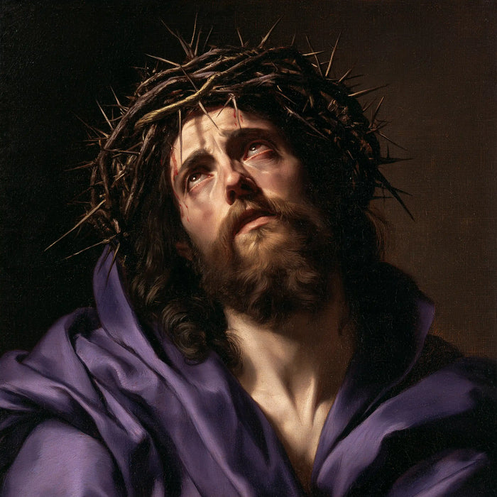 Jesus Crowned with Thorns — Violet Folds around the Appeal